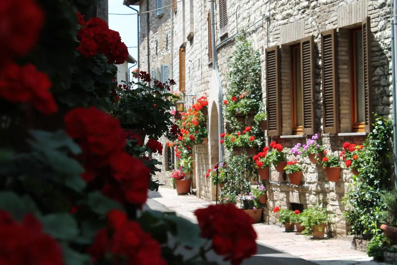 Casa Gentile Apartment Assisi 0*,