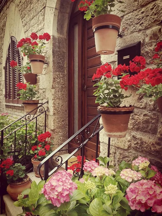 Casa Gentile Apartment Assisi 0*,  Italy