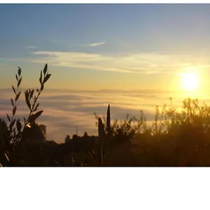 Bed & Breakfast Vico Del Poeta, Assisi
