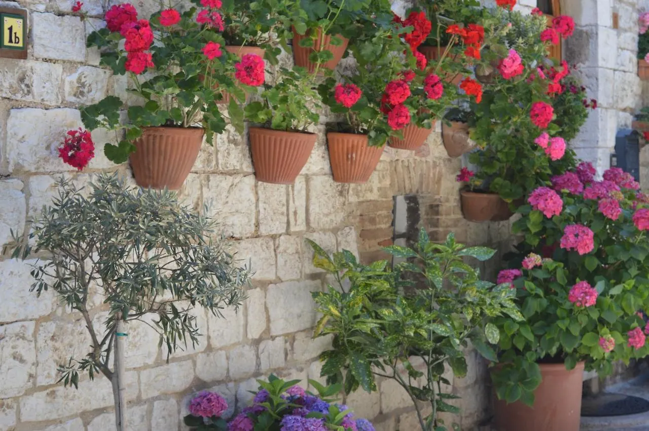 Casa Gentile Apartment Assisi