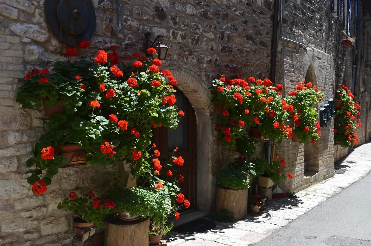 Casa Gentile Apartment Assisi Italy